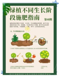 室内绿植施肥：不同植物施肥时间，避免施肥过多烧根​
