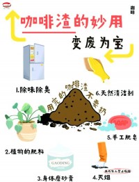 零浪费园艺？用「咖啡渣」替代化肥