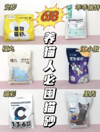 新手养猫必备指南：猫粮挑选、猫砂选择，告别养猫手忙脚乱​
