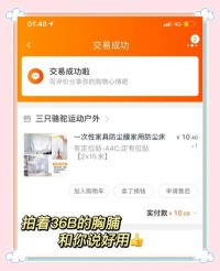 旧窗帘改造！制作防尘罩套