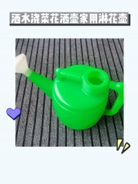 塑料瓶改造！制作浇花喷壶