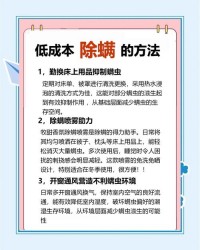 家庭除螨方法：床垫、沙发、衣物，这些地方螨虫多，怎么除？​